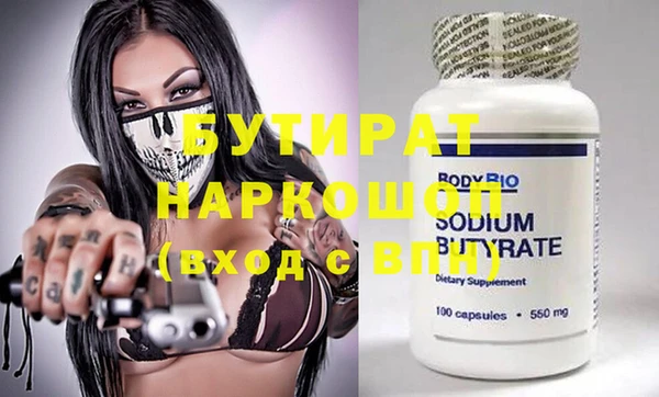 индика Гусь-Хрустальный